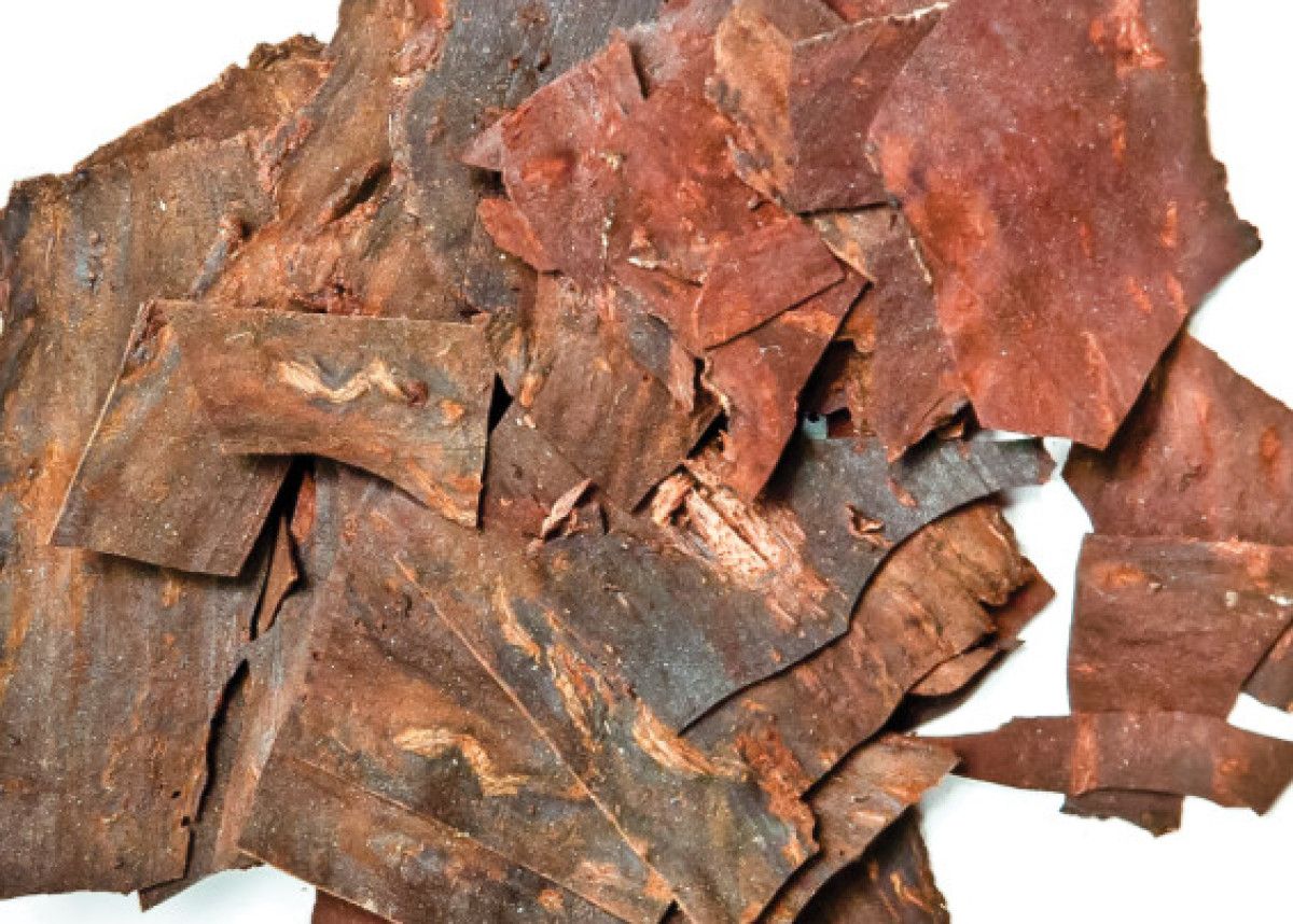 Uzun Ömür İçin Doğal Bir Sır: Fo-Ti Bitkisi