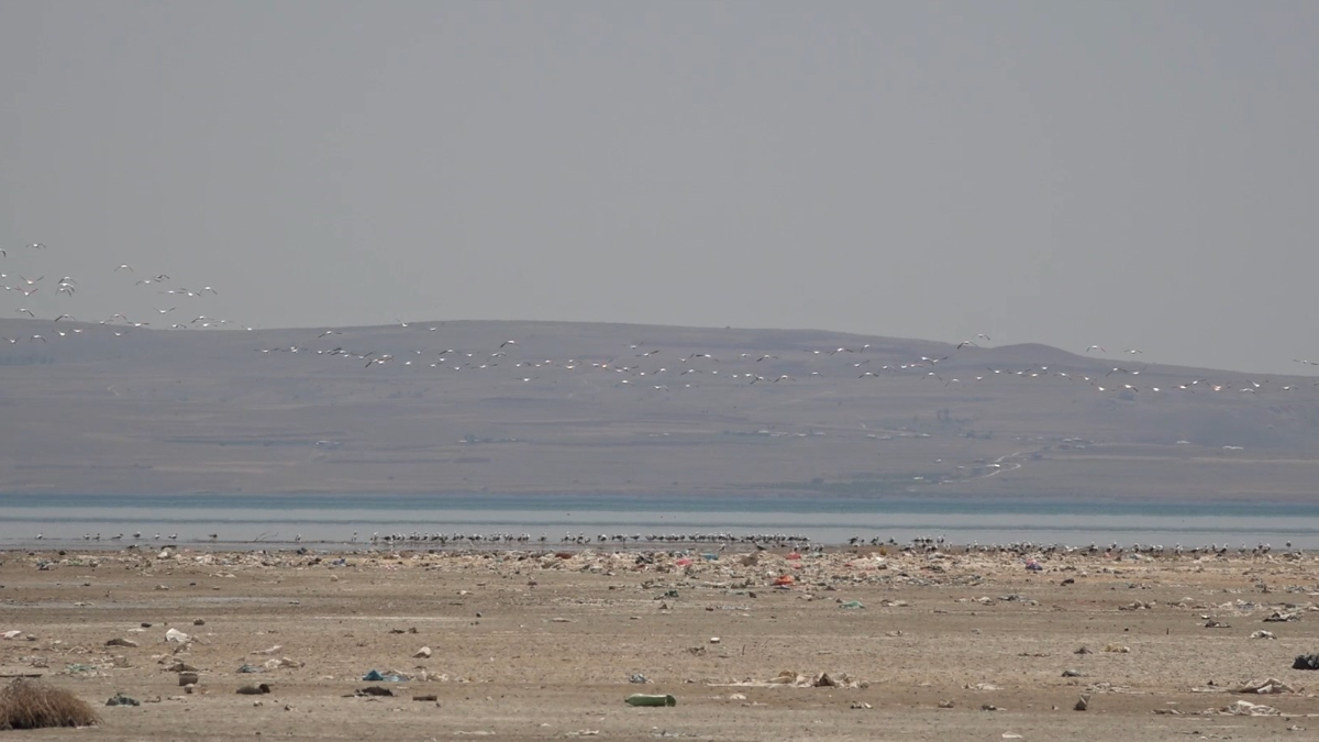 Kuş Gözlemi ve İnsan Deneyimleri