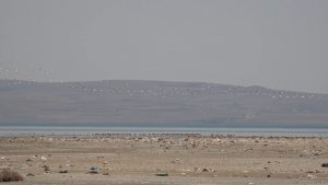 Van Gölü Havzası’nın Büyüleyici Misafirperverliği