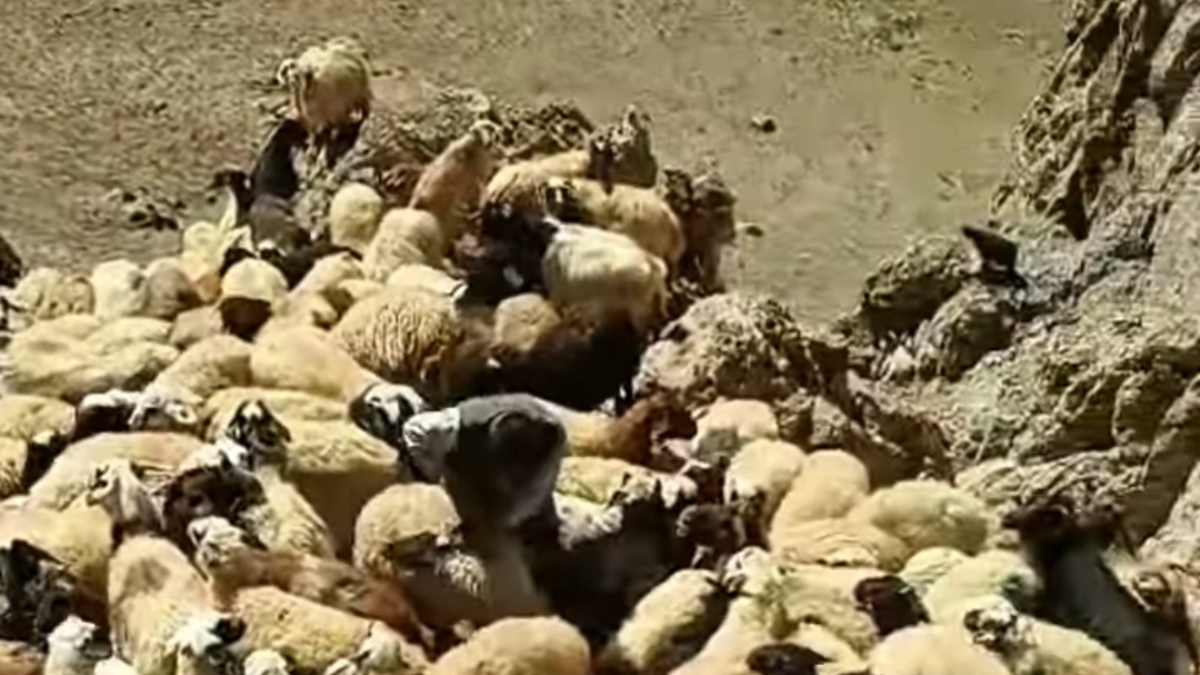 Çiftçilerin Durumu ve Yetkililere Başvuru Süreci