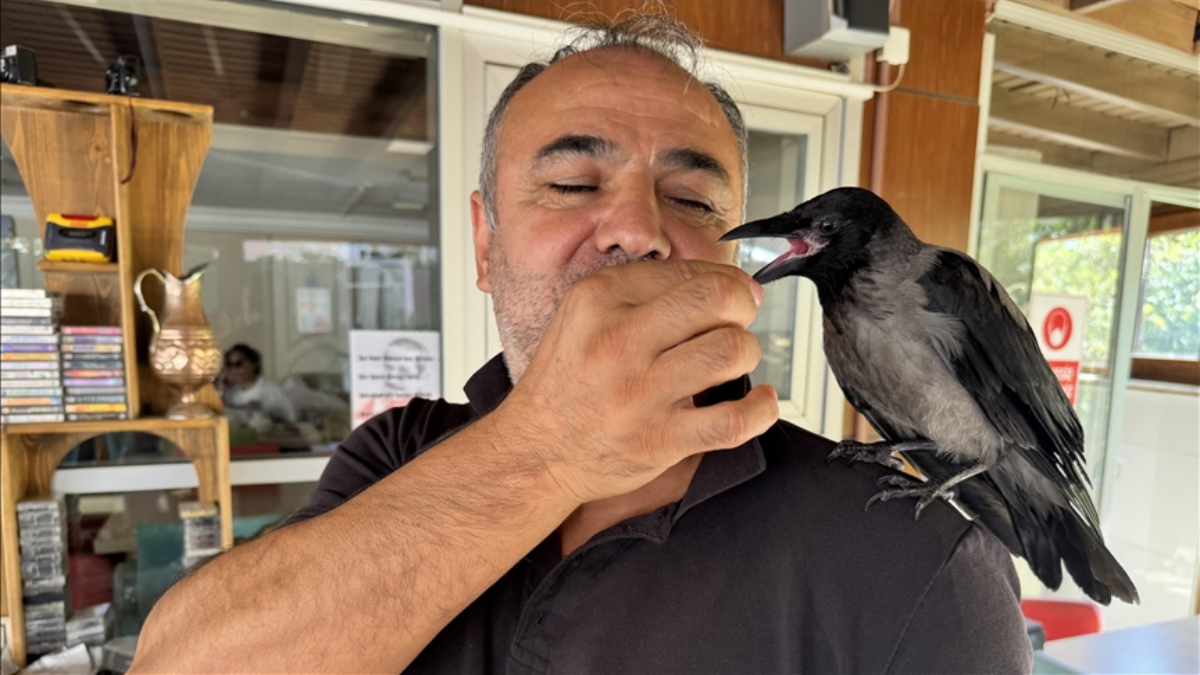 Çocukların Yeni Eğlence Merkezi