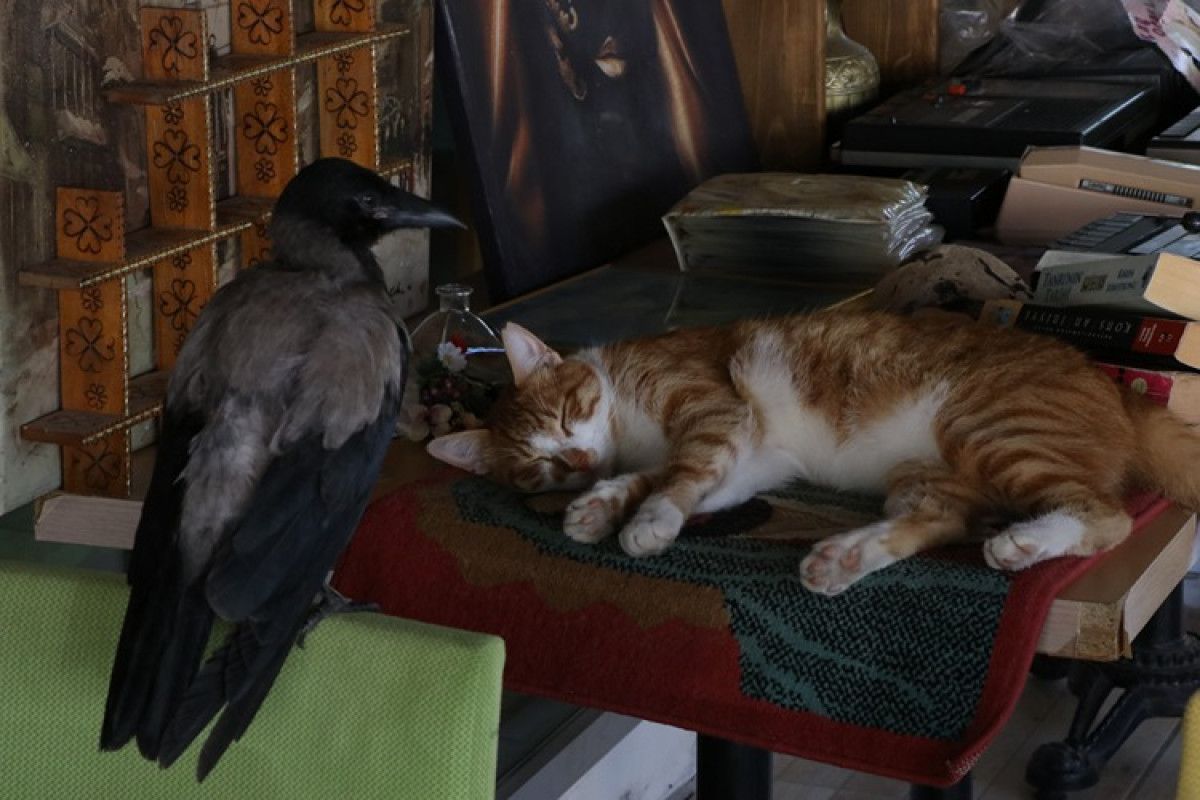 İletişim ve Zekasıyla Dikkat Çekiyor