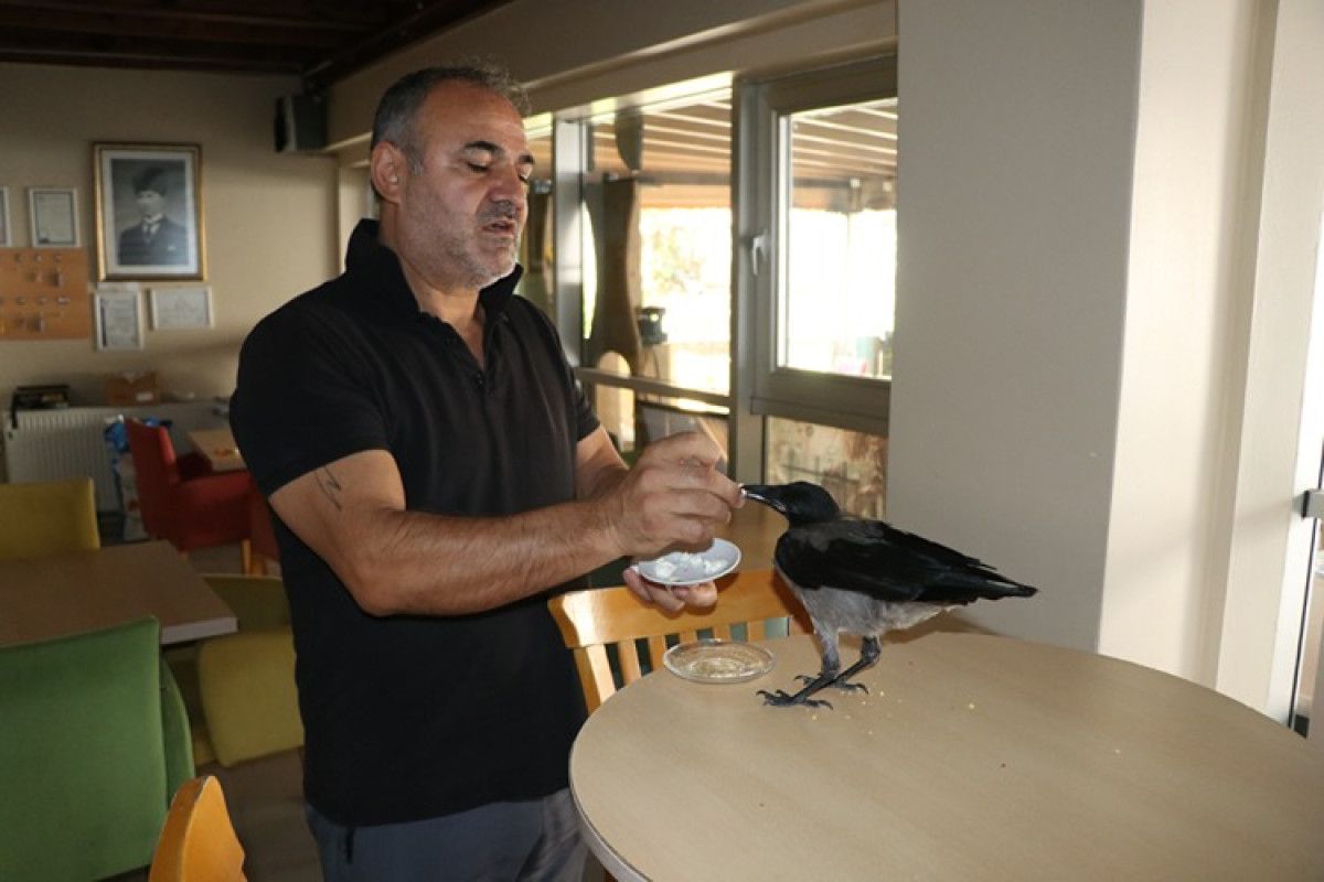 Şakacı Cümlelerle Vatandaşların Gözdesi