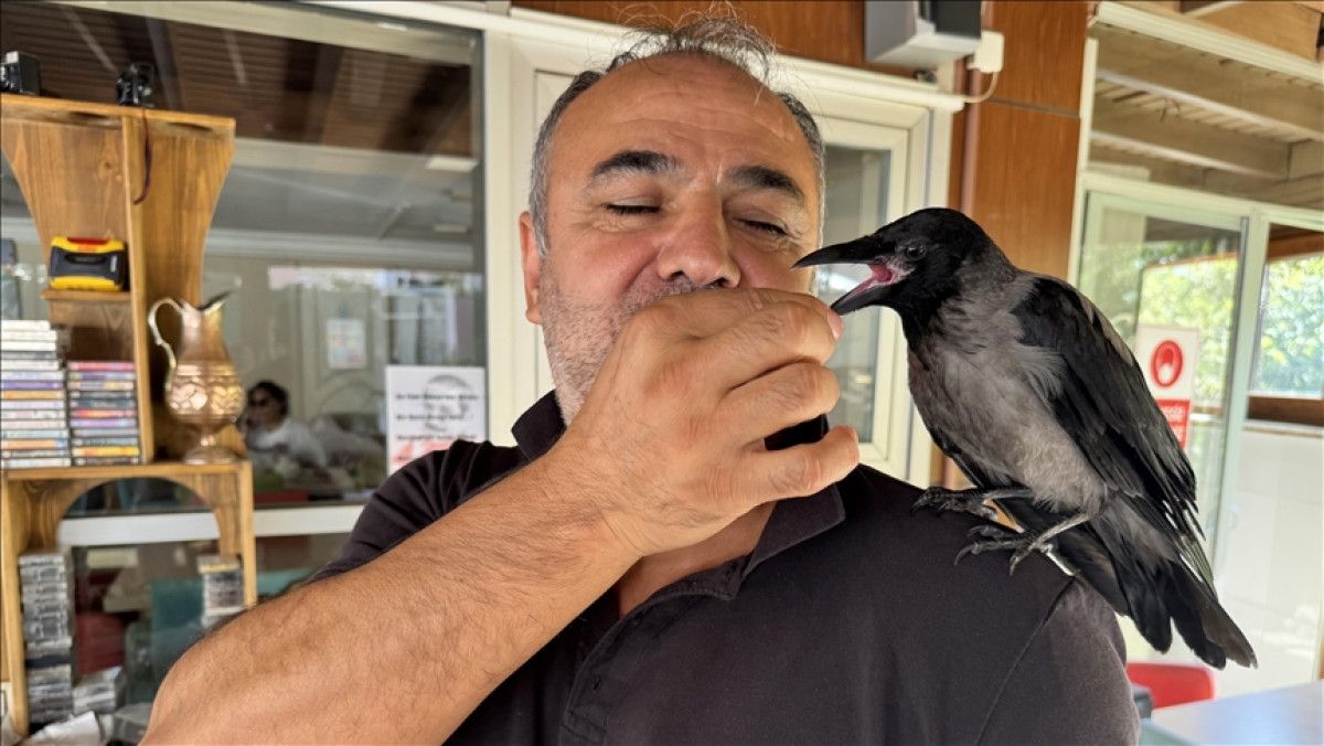 Pansiyonun Sevimli Maskotu