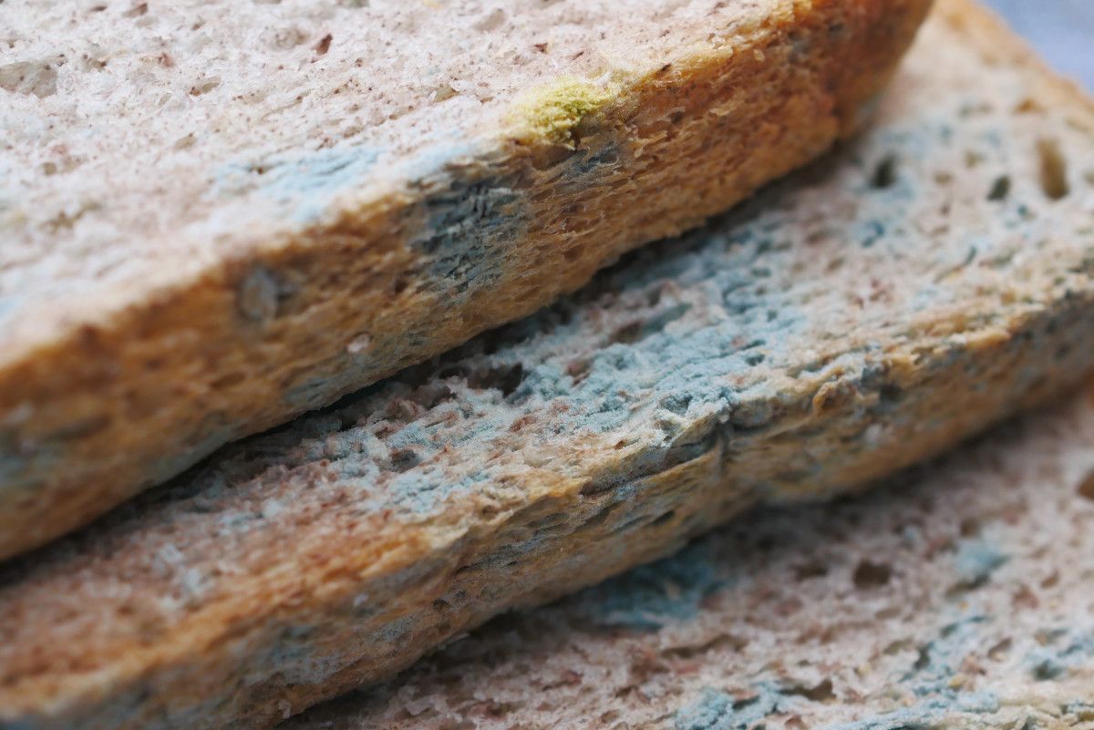 Fırın Ürünleri & Ekstra