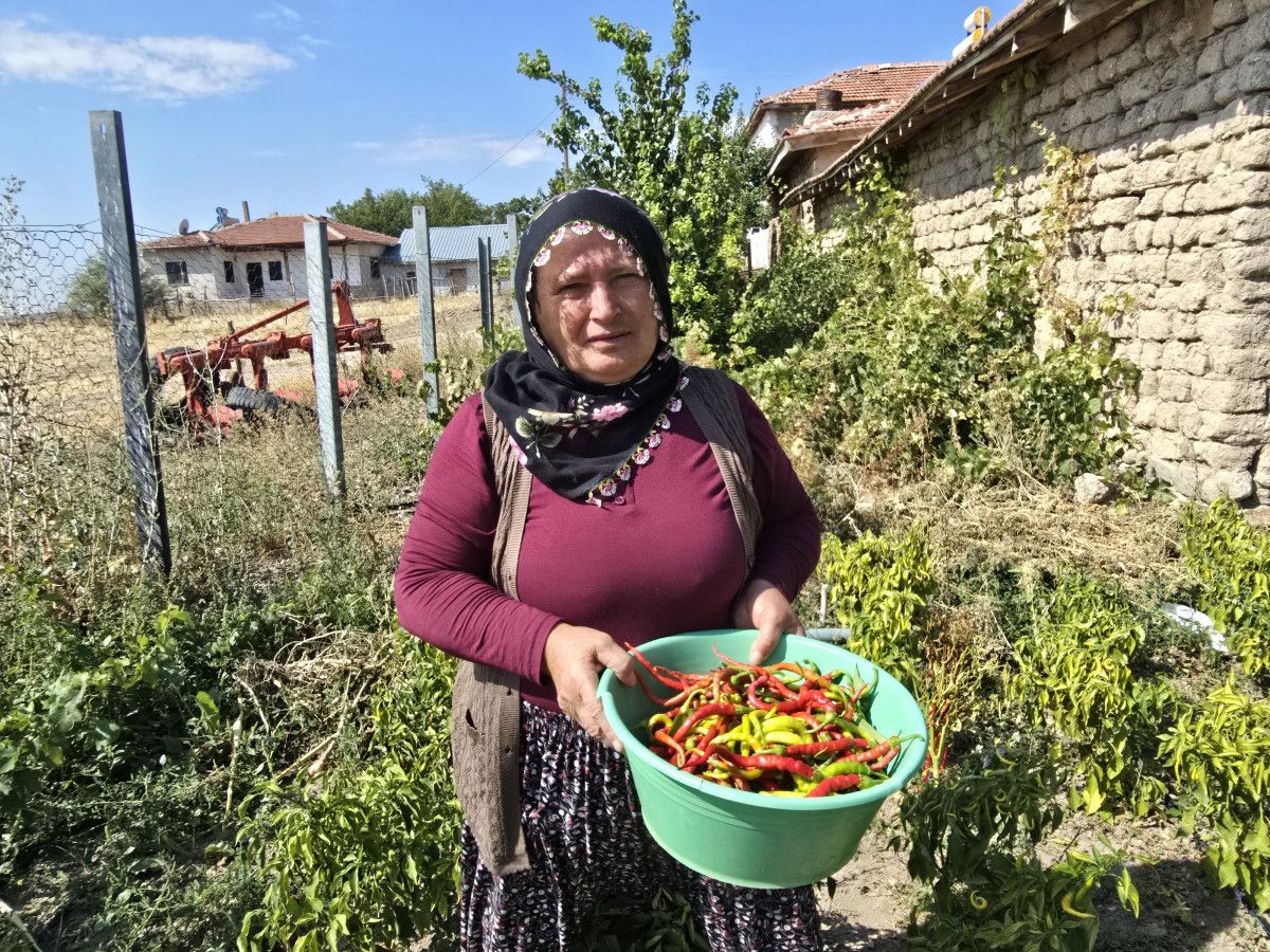 Yozgat'ta Turşu ve Biberler Kilerlerde Keyifli Bir Yer Ediniyor