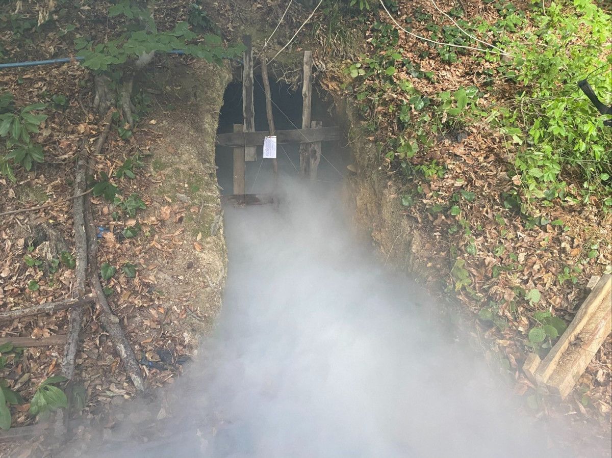 Silah ve Yabancı Uyruklu Göçmenler Üzerine Denetimler