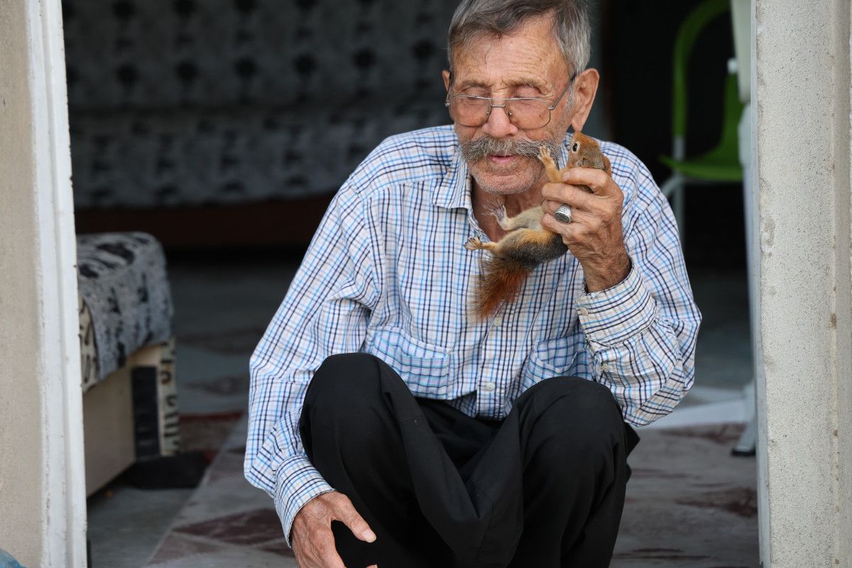 Adana'da Yalnız Kalan 6 Çocuk Babası, Kurtardığı Sincap ile Sıcak Bir Dostluk Kurdu