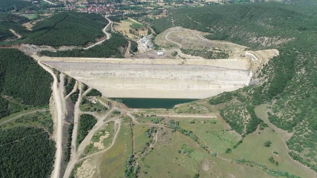 Amasya'da Endemik Bitkinin Yeni Yaşam Alanı Keşfi ve Taşınması