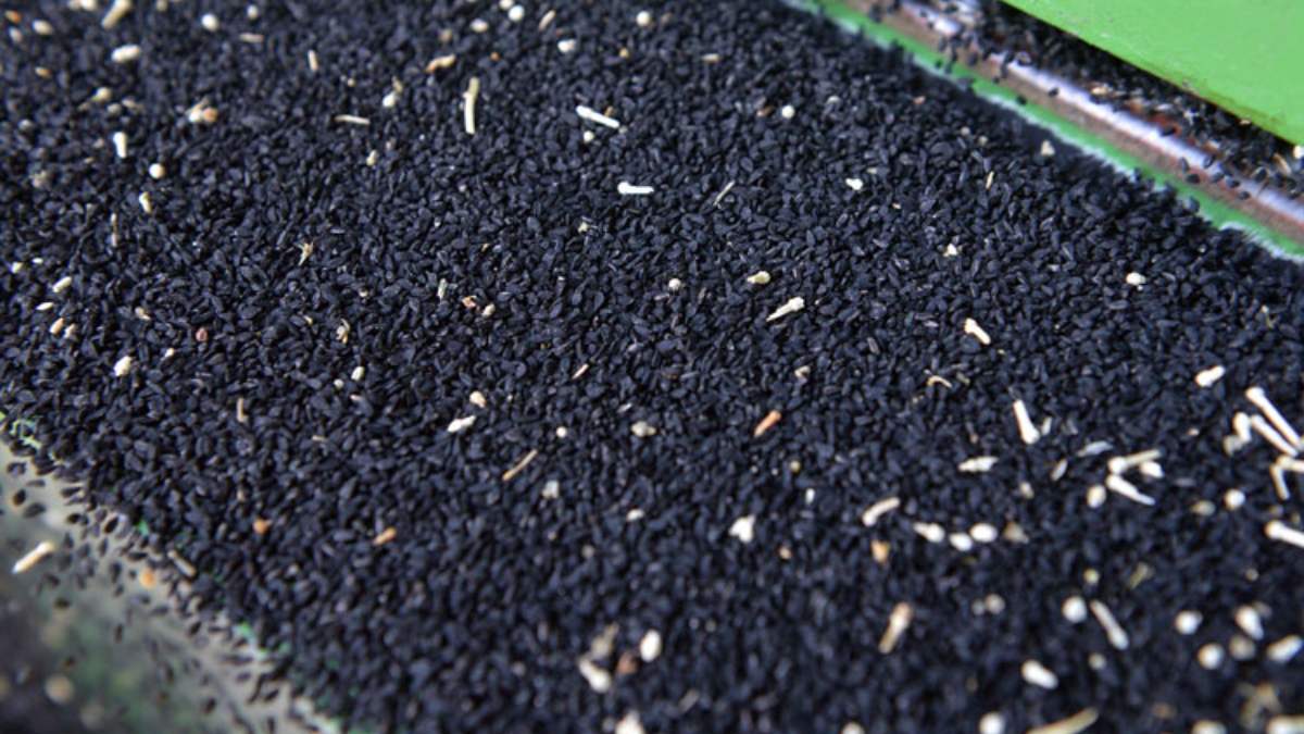 Yağ Halinde Tüketim