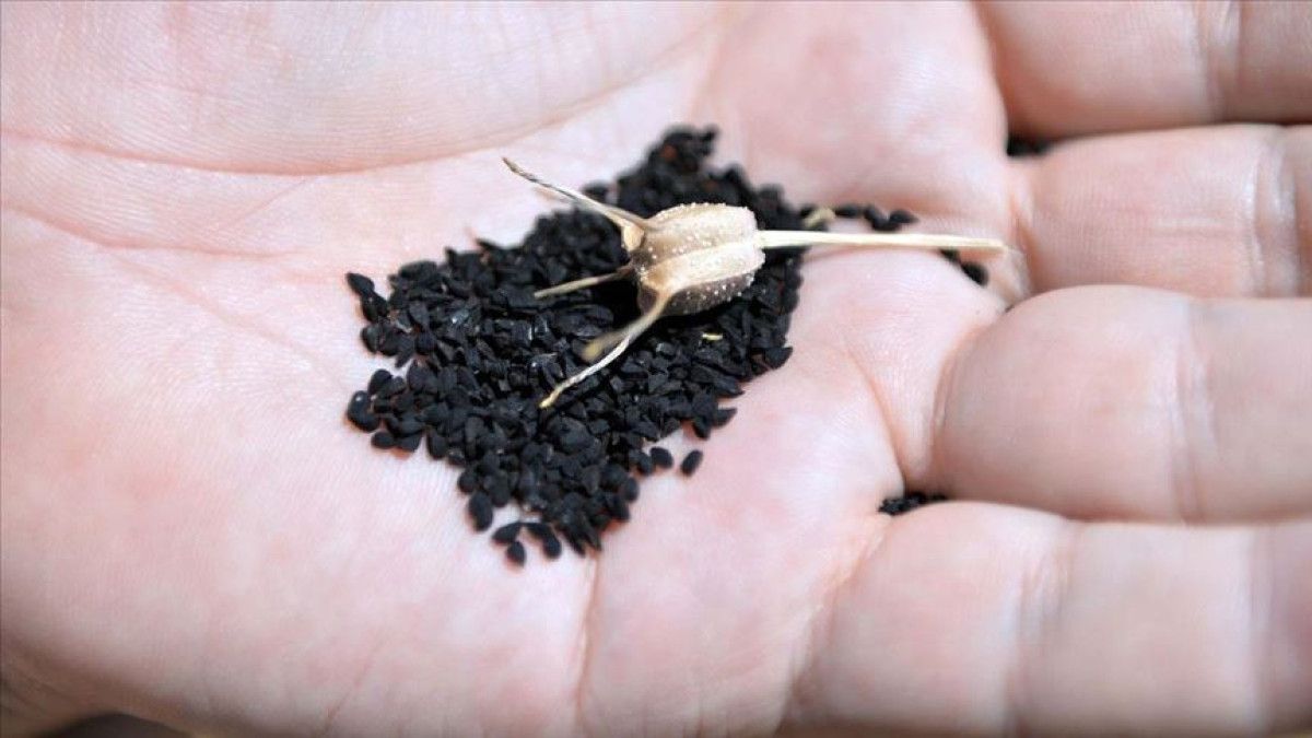 Ezilmış ve Aromalı Tüketim Alternatifleri