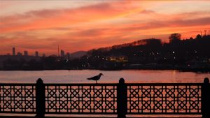 En Güzel Sabah Dualarıyla Huzur, Bereket ve Enerjiye Ulaşın