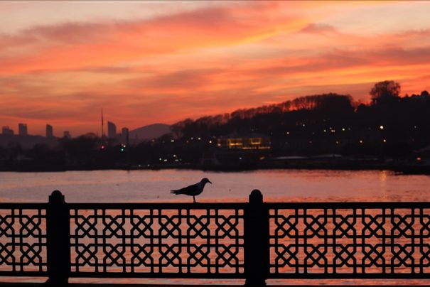 En Güzel Sabah Dualarıyla Huzur, Bereket ve Enerjiye Ulaşın