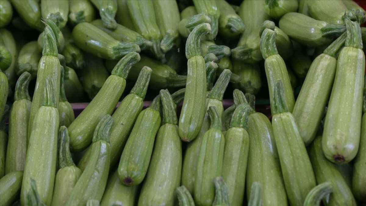 Enerji ve Sağlıkınızı Zirveye Taşıyan İbn-i Sinadan 13 Altın Tavsiye