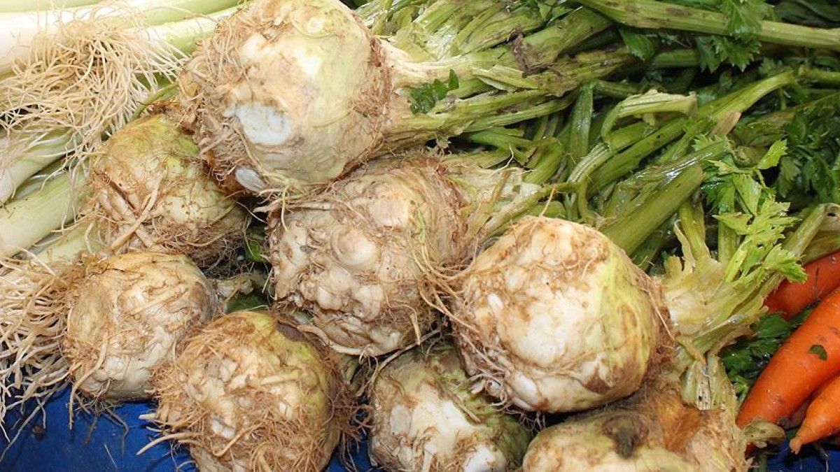 Enerji ve Sağlıkınızı Zirveye Taşıyan İbn-i Sinadan 13 Altın Tavsiye