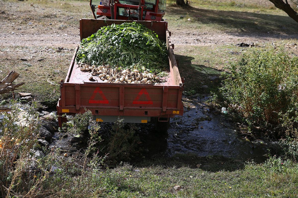 Erzurum'da 600 Yıllık Geleneksel Şalgam Yıkama Uygulaması