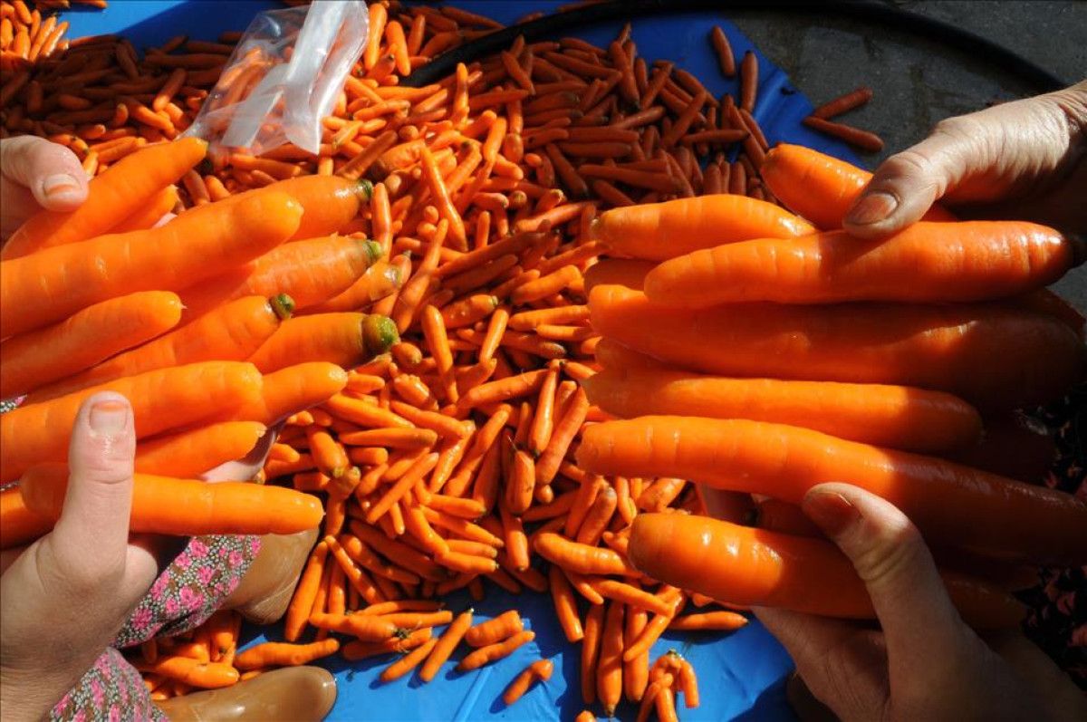 Kalp Sağlığını Güçlendirir