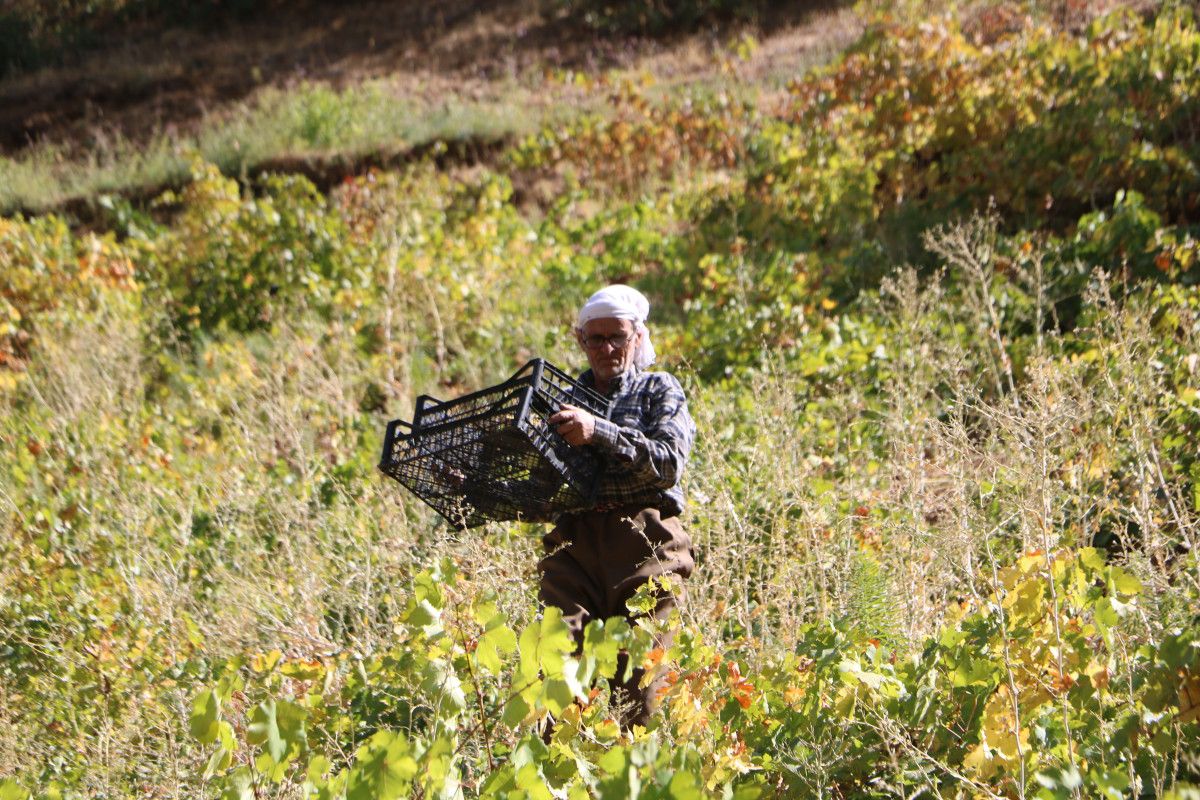 Yılmaz ve Fedakâr Bir İşçilik