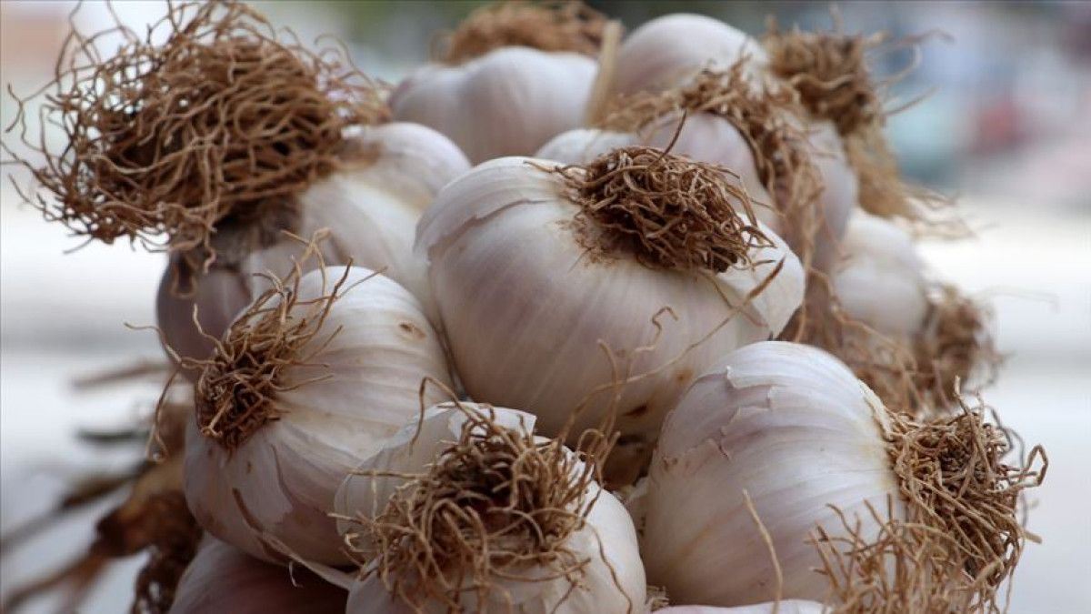 Bağırsakları Yenilemeye ve Güçlendirmeye Yardımcı Olan 5 Gıda