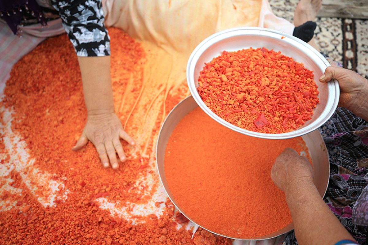 Bağırsakları Yenilemeye ve Güçlendirmeye Yardımcı Olan 5 Gıda