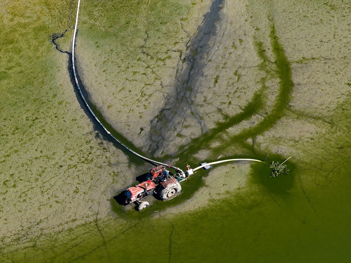 Manyas'ta Göçmen Kuşlar İçin Ortaya Çıkan Tehlike İşaretleri