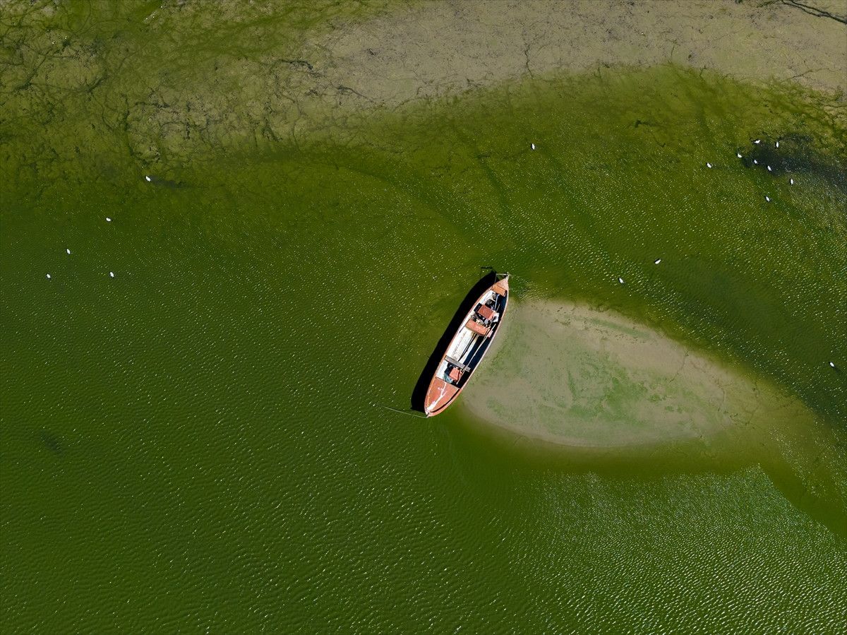 Manyas'ta Göçmen Kuşlar İçin Ortaya Çıkan Tehlike İşaretleri