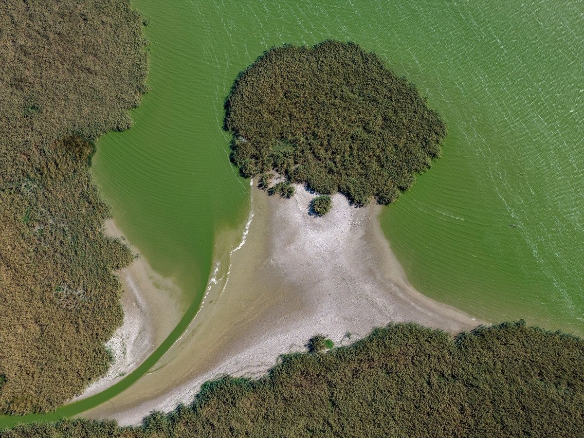 Manyas'ta Göçmen Kuşlar İçin Ortaya Çıkan Tehlike İşaretleri
