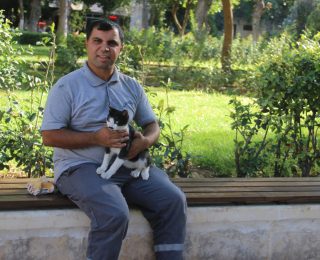 Şanlıurfa’da Gölete Düşen Kedi Kalp Masajıyla Hayata Tutundu