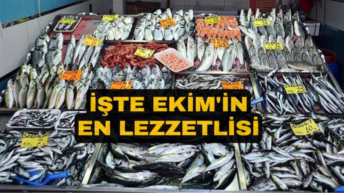 Sonbahar Aylarında Tüketmeniz Gereken En İyi 4 Balık ve Sağlık Faydaları
