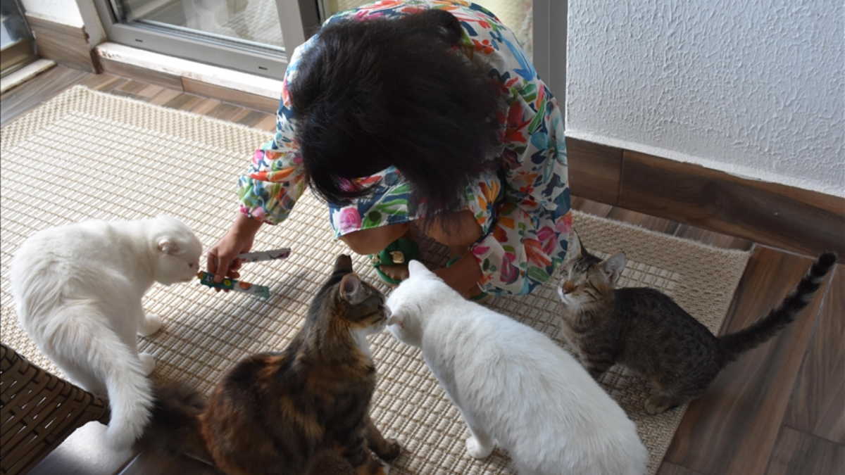 Trabzonlu Hayvanseverin Kedilerle Başlayan Sevgi Hikayesi