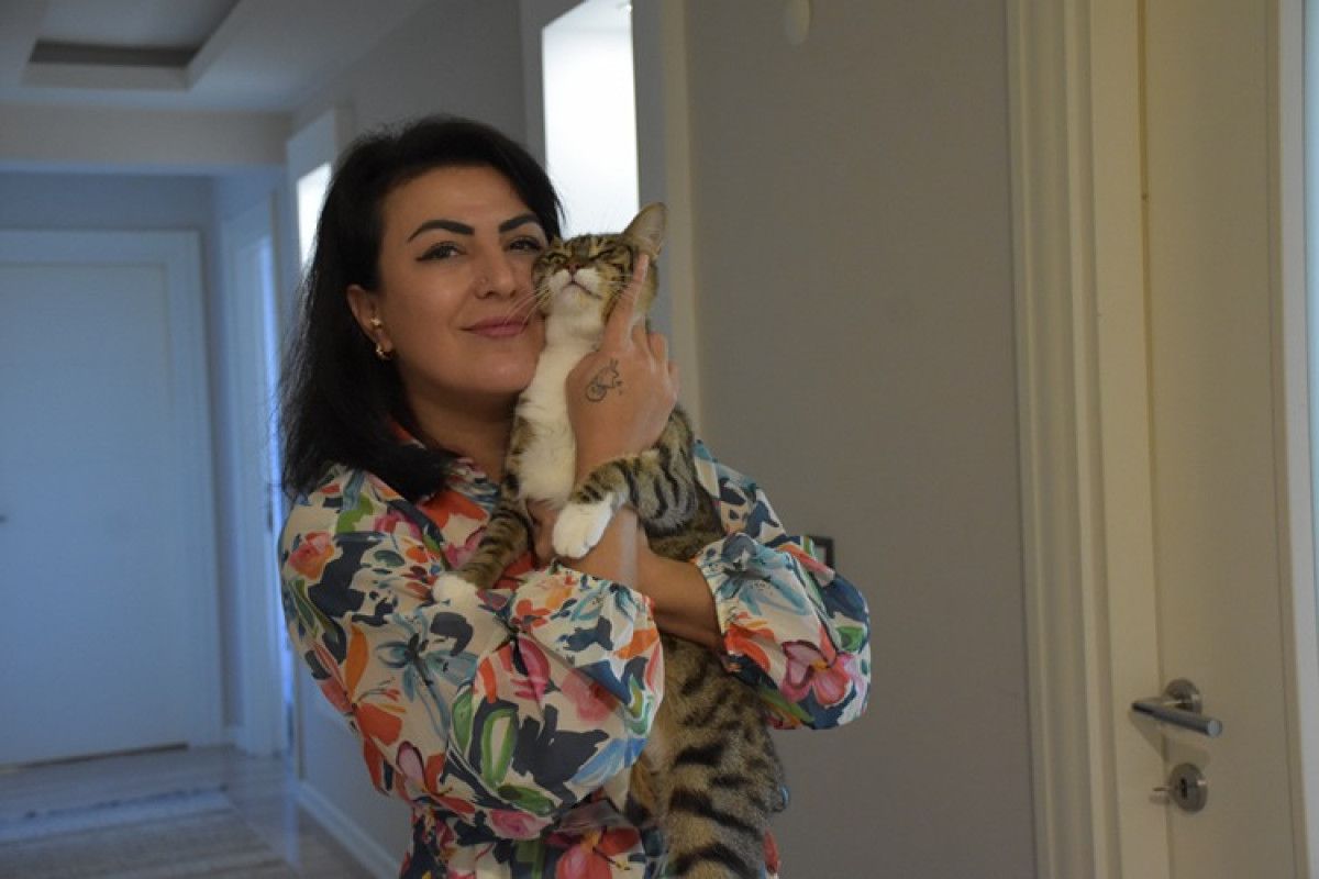 Trabzonlu Hayvanseverin Kedilerle Başlayan Sevgi Hikayesi