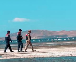 Vanda Flamingoların Güvenliği Jandarma Ekiplerine Emanet Edildi